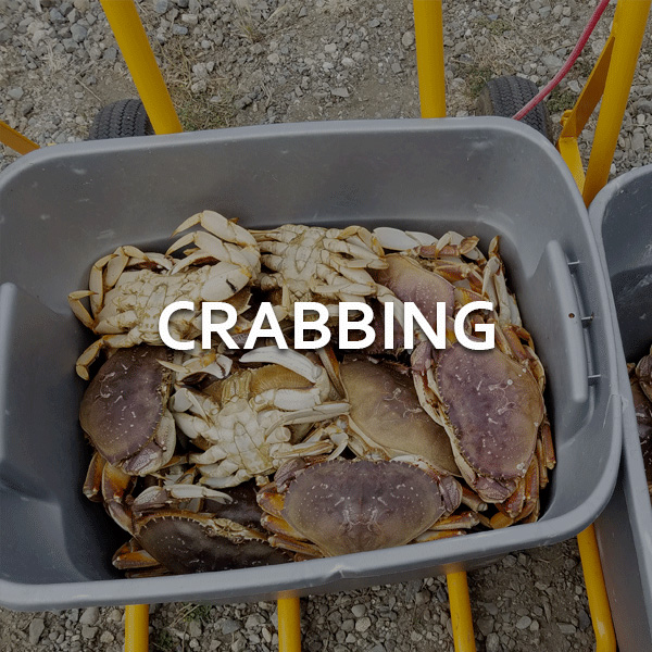 Ocean Crabbing Trip
